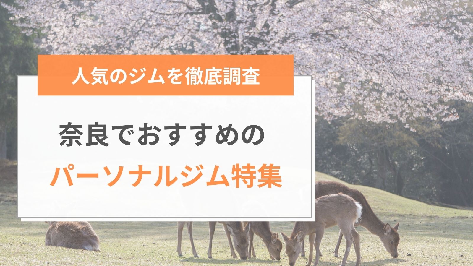 奈良でおすすめのパーソナルジム特集